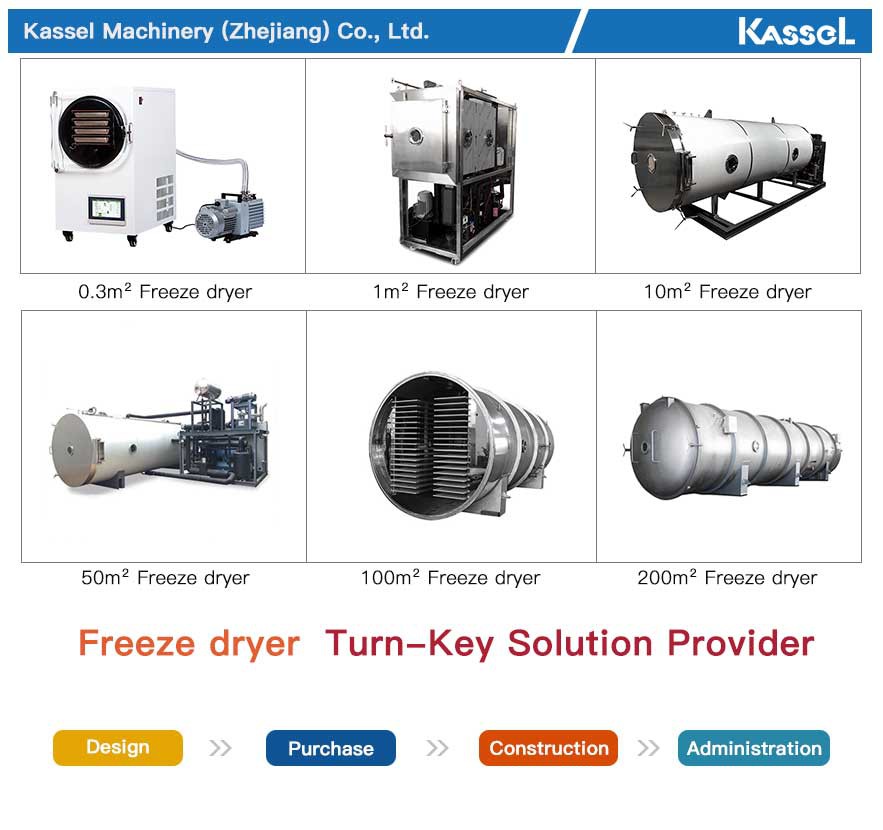 China freeze dryer